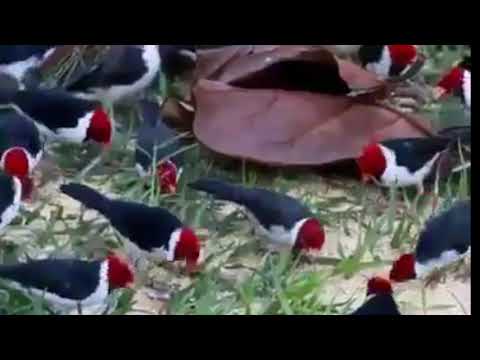 انشوده دينيه يا خالق الليل والقمر