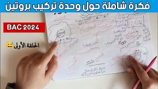 فكرة شاملة حول وحدة تركيب بروتين ✅ أهم معلومات و استراتجيات لي تسحقهم ف تمارين💪🔥
