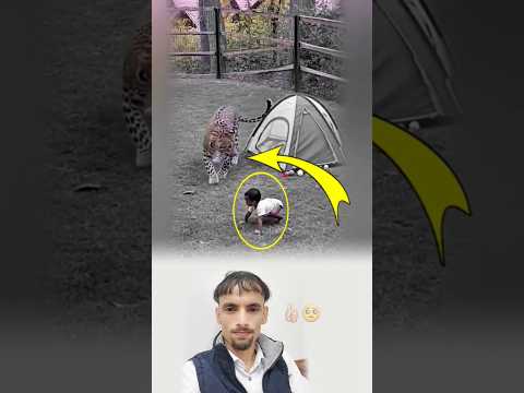 عندما أتى الخط ر كانت القطة جند ا من جنود الرحمة    