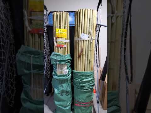 Bamboo Fencing - Cali Bamboo vs. Backyard X-scapes by LabellaVita