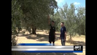 Στέγνωσαν τα χωράφια - Ανησυχία στους παραγωγούς