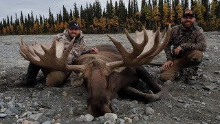 Epic Alaska Moose Drop Camp. Two Bulls Down.