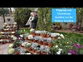 Flipping our Christmas garden to our winter garden