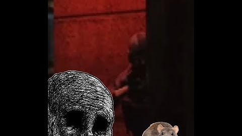 My Average Tarkov Experience