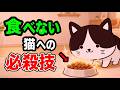 【フードジプシー卒業】食べない猫への必殺技9選を獣医師が解説します【猫の食事がわかる本㊼ P171】
