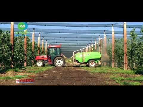 VALENTE   ''საფერავი ტვ'' Green solutions/გრინ სოლუშენს