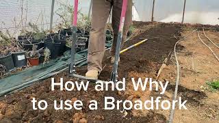 How and Why to use a Broadfork