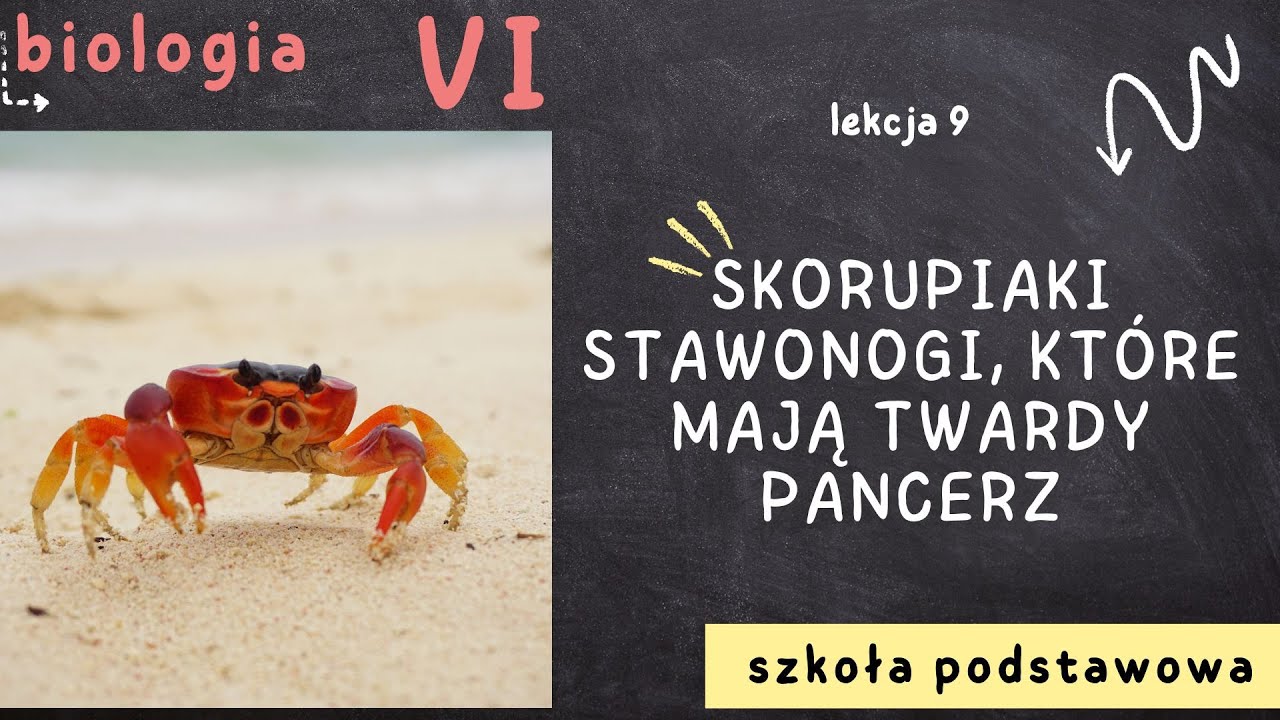 Test Biologia Klasa 6 Skorupiaki Biologia klasa 6 [Lekcja 9 - Skorupiaki - stawonogi, które mają twardy