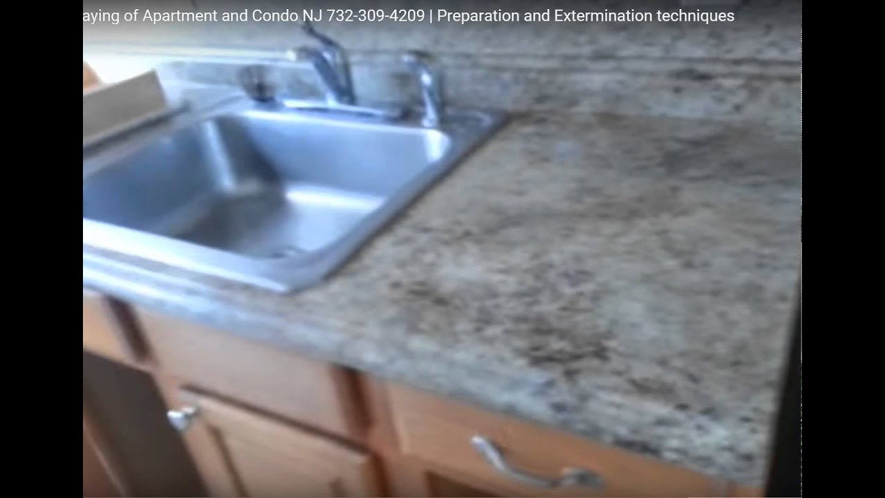 Cockroach Control in Bakeries NJ 732-640-5488 - YouTube Cockroach Control in Bakeries NJ 732-640-5488 - YouTube
