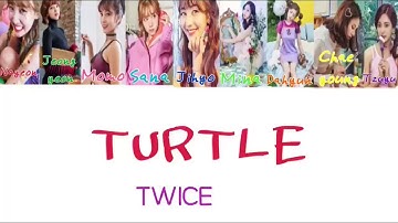 70以上 Twice Turtle Twice Turtle Meaning