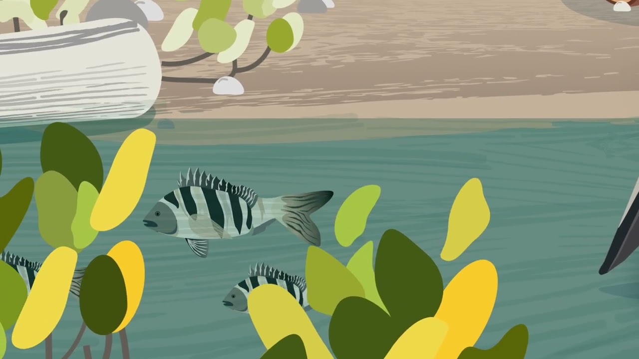 Fall 2025: Parallax Postcard, Maya Campanella