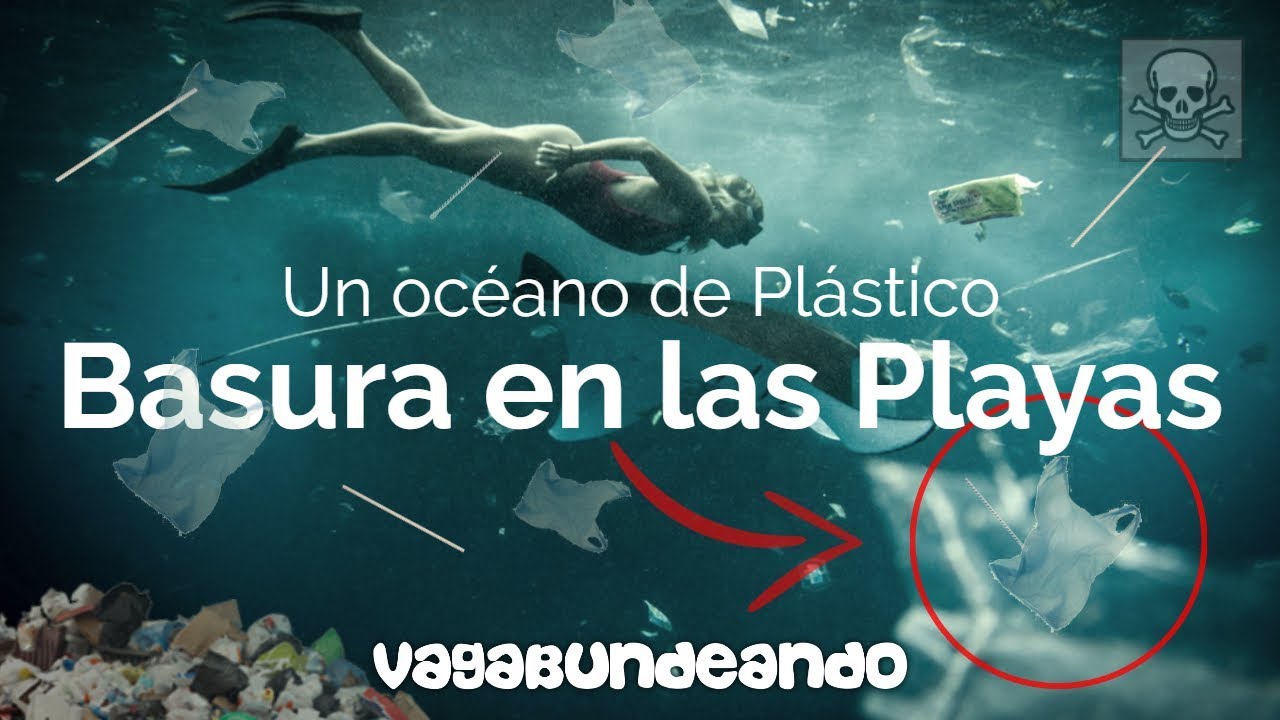 BASURA EN LAS PLAYAS, la biodiversidad marina se ahoga en océanos de ...