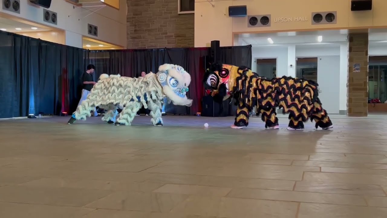 CSA Midnight Dim Sum 2025 | Cornell Lion Dance