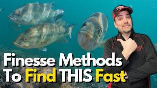 Must do THIS First When Finesse Fishing: Key Approach