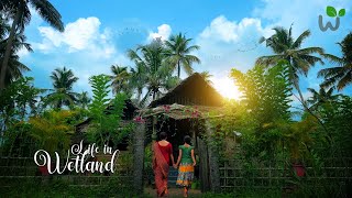 My Home Renovation | Kerala Village house | Village life | Our Traditional Life in Wetland.
