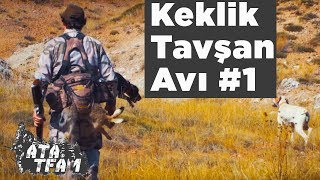 Keklik Tavşan Avı Ata Team 1. Bölüm Yaban Tv Partridge Hunting