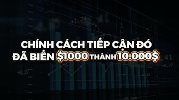 3 TUẦN TRƯỚC, TÔI ĐÃ CHÁY 10.000$ VÀ SỰ CẢNH TỈNH!