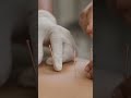 കാൽ തരിപ്പ് കാൽ വേദന treatment avilable 8304081184
