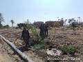 أسيوط بالجهود الذاتية محلي العقال القبلي بالبداري يحول مقلب مخلفات لحديقة 