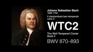 Bacchetti plays Bach - Il clavicembalo ben temperato Libro II - The Well Tempered Clavier Book II