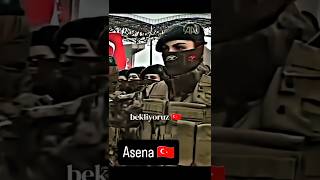 Bozkurtça Baktım Sanayaktın Beni Asena