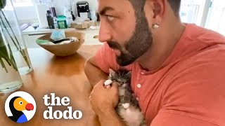 PhoneSized Kitten Turns Guy Into A Cat Person | The Dodo Little But Fierce