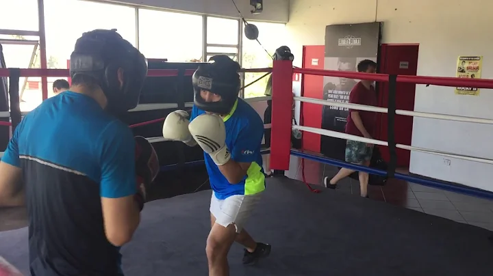 Sparring JF7