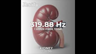 319.88 Hz Pure Tone | Kidney Healing