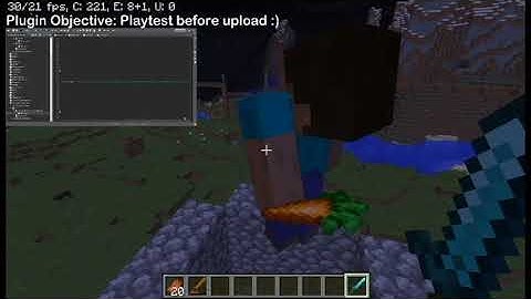 TimeLapse Of Minecraft Plugin Coding
