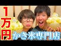 【極寒】かき氷だけで1万円食べ切るまで帰れませんしたら寒過ぎた、、、