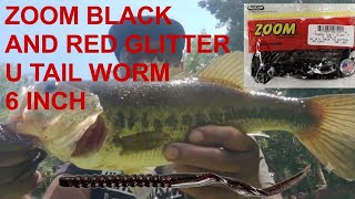 ZOOM BLACK AND RED GLITTER U TAIL WORM 6 INCH AT A HOT NEW POND!