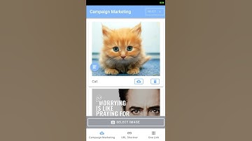 List View - Grid View | Toggle - By Ankit Maheshwari
