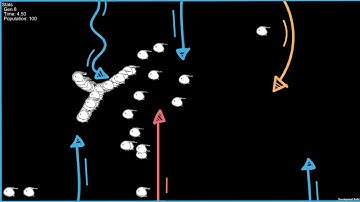 Genetic Algorithm timelapse