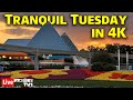 4k live tranquil tuesday at epcot in 4k  walt disney world live stream  51424