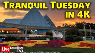 🔴4K Live: Tranquil Tuesday at Epcot in 4K - Walt Disney World Live Stream - 5-14-24
