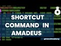 Shortcut commands in amadeus  seats  class  queue  ticket  itinerary amadeus session  44