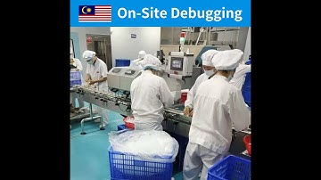 RQ-DSL-24H 24 lanes high level gummy counting machine