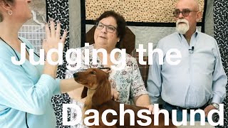 Judging the Dachshund with Pam & Dave Peat by Pramada Koradox 1,957 views 3 years ago 1 hour, 51 minutes