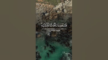 سورة هود {الآية 90} #القرآن_الكريم #حالات_واتس #المصحف #اكسبلور