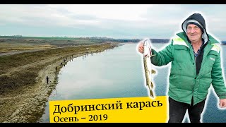 Добринский карась. Осень 2019