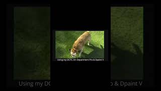 Cookie using my Amiga 500 DCTV