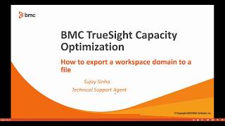 BMC TSCO: How to Export Data from a Domain - Domain Extractor