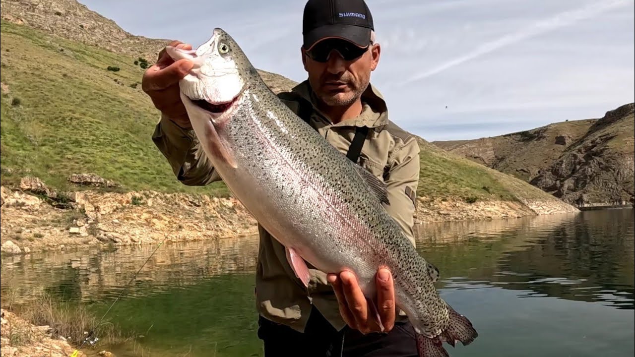 Ловля турецкого лосося, Ловля стальноголовой форели, Ловля радужной форели