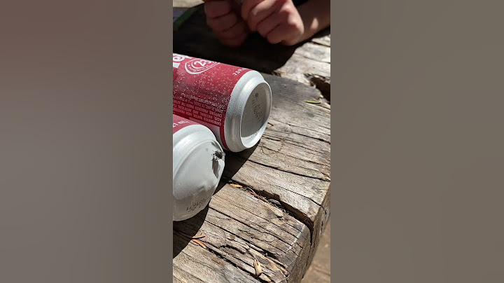 Fly trapped on frozen soda can