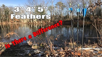 Trad Archery Feather Comparison 3 v 4 v 5" Feathers
