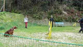 20100330-02.avi