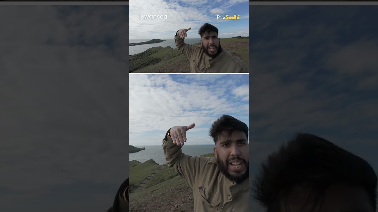 Are Seagulls Secretly PLOTTING to Steal Your Food?