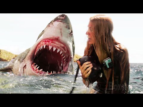 Vidéo: Y a-t-il des requins dans la mer Noire ?