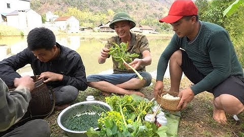 Món lạ ít người biết - gỏi tảo ruộng | Nhịp Sống Tây Bắc