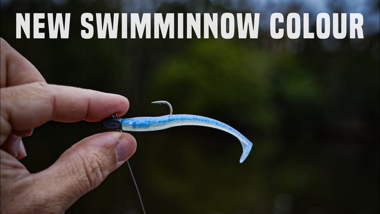 Creek Fishing | Testing New SWIMMINNOW Colour